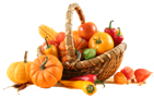 Fruits & Vegetables